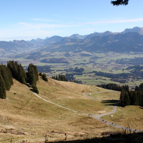 44 Im Oktober 2011 im Allgäu
